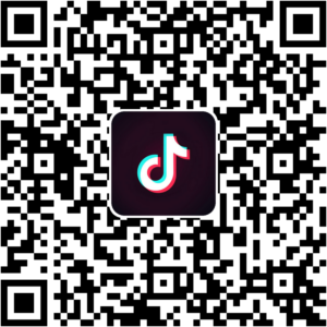 抖音小程序